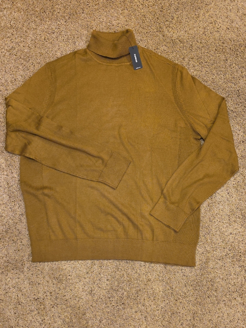 Express Men's Turtleneck Sweater in Olive Brown